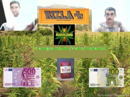 atarat_mohamad@hotmail.com